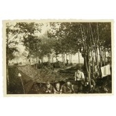 Бивуак Вермахта на фото палаточный лагерь и трофейные французские танкетки